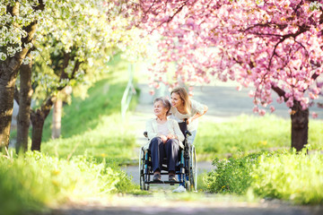 Elderly grandmother in wheelchair with granddaughter in spring nature.