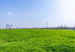 © THINK b - green grass with city skyline