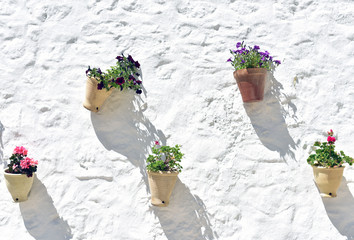 Spain, Andalucia, Ronda Flower pots of geraniums line white wall of Palacio de Mondragon