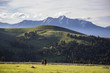 Horseback Riding in Montana