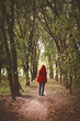 © Liz - Woman in red coat walking in the forest