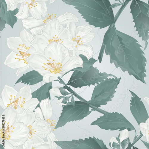 seamless-texture-twig-spring-flower-jasmine-and-buds-crack-vintage-vector-illustration-editable-hand-draw