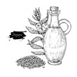 Bottle of sesame oil with plant. Vector Hand drawn illustration.