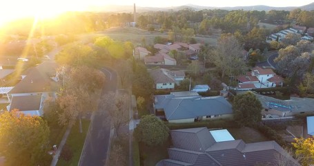 Wall Mural - Aerial view of a typical leafy suburb in Australia