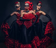 Flamenco spanish seductive dancers wearing traditional costume.