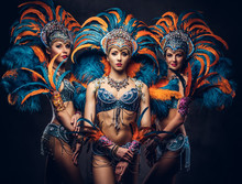 Group Of A Sexy Girls In A Colorful Sumptuous Carnival Feather Suit.