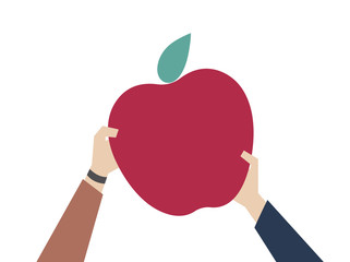 Sticker - Illustration of hands holding apple