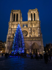 Wall Mural - Notre Dame Paris, twilight