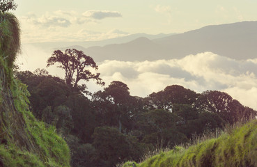 Canvas Print - Costa Rica landscapes