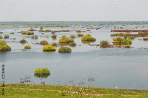 Plakat Wiosna. łąka zalewowa zalana rzeką.