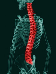 x ray effect image of human skeleton with spine highlighted in red