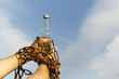 © mihail39 - Hand chained to a bottle of alcohol, against the blue sky
