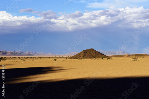 Plakat Pustynia Namib