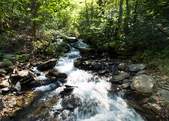 Wall Mural - Catawba Falls, North Carolina