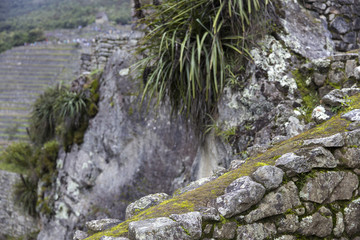 Wall Mural - Stone wall at Machu Picchu, Peru