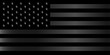 © ralelav - American flag background vector silver