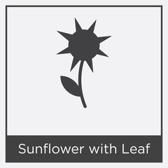 Wall Mural - Sunflower with Leaf icon isolated on white background