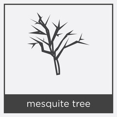 Poster - mesquite tree icon isolated on white background