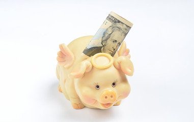 Wall Mural - Piggy bank with a dollar bill on white background..