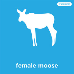 Poster - female moose icon isolated on blue background