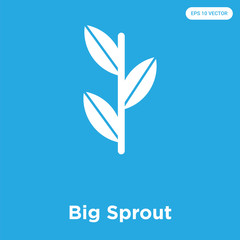 Canvas Print - Big Sprout icon isolated on blue background