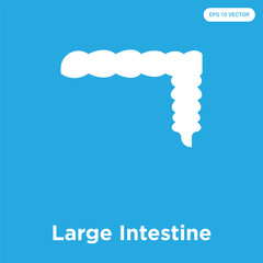 Wall Mural - Large Intestine icon isolated on blue background