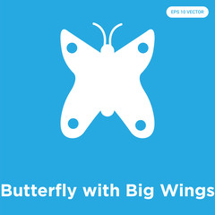 Canvas Print - Butterfly with Big Wings icon isolated on blue background