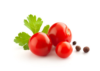 Wall Mural - Tomatoes with parsley