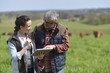 © goodluz - Couple of stock breeders using tablet in field