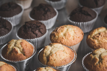 Muffins on shelf 1