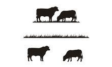 Cattle Angus Cow & Grass Silhouette Livestock Farm Logo Design