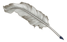 Quill Feather Pen Cartoon
