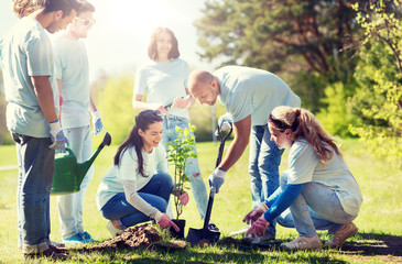 Sticker - volunteering, charity, people and ecology concept - group of happy volunteers planting tree and digging hole with shovel in park