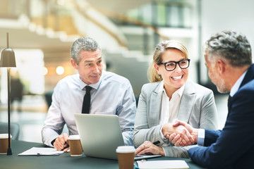 Wall Mural - Smiling mature business colleagues shaking hands together in an