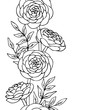 vector contour ranunculus rose flowers bud leaf coloring book pattern elements vertical seamless repeating