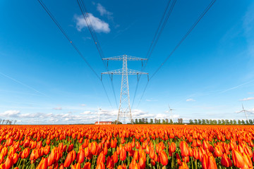 Modern high powerlines