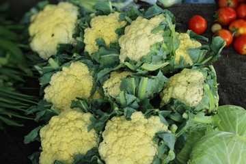 Sticker - Fresh cauliflower for cooking at street food