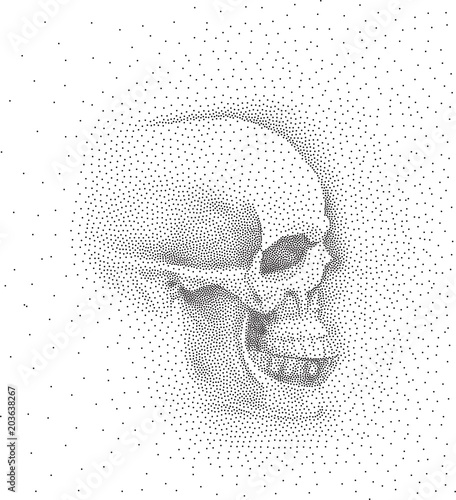 Skull In Profile On White Background Simple Black Points On