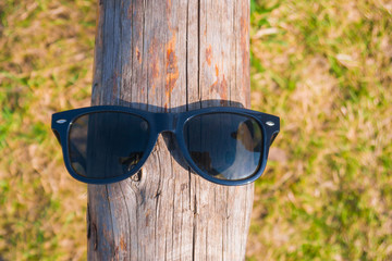 Wall Mural - Sunglasses on a wooden log, a summer sunny day