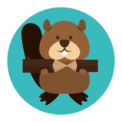 Poster - beaver canadian animal scene vector illustration design