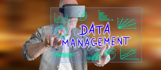 Wall Mural - man touching a data management concept