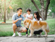 © chayathon2000 - dog golden retriever playing with Asian family in park