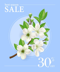 Poster - Best season sale, thirty percent off poster template with apple tree twig in round frame on light blue background. Typed text can be used for labels, flyers, signs, banners.