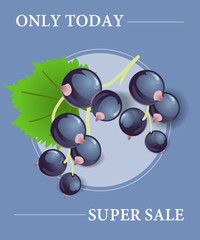 Wall Mural - Only today super sale poster design with black currant berries in round frame on blue background. Typed text can be used for labels, flyers, signs, banners.