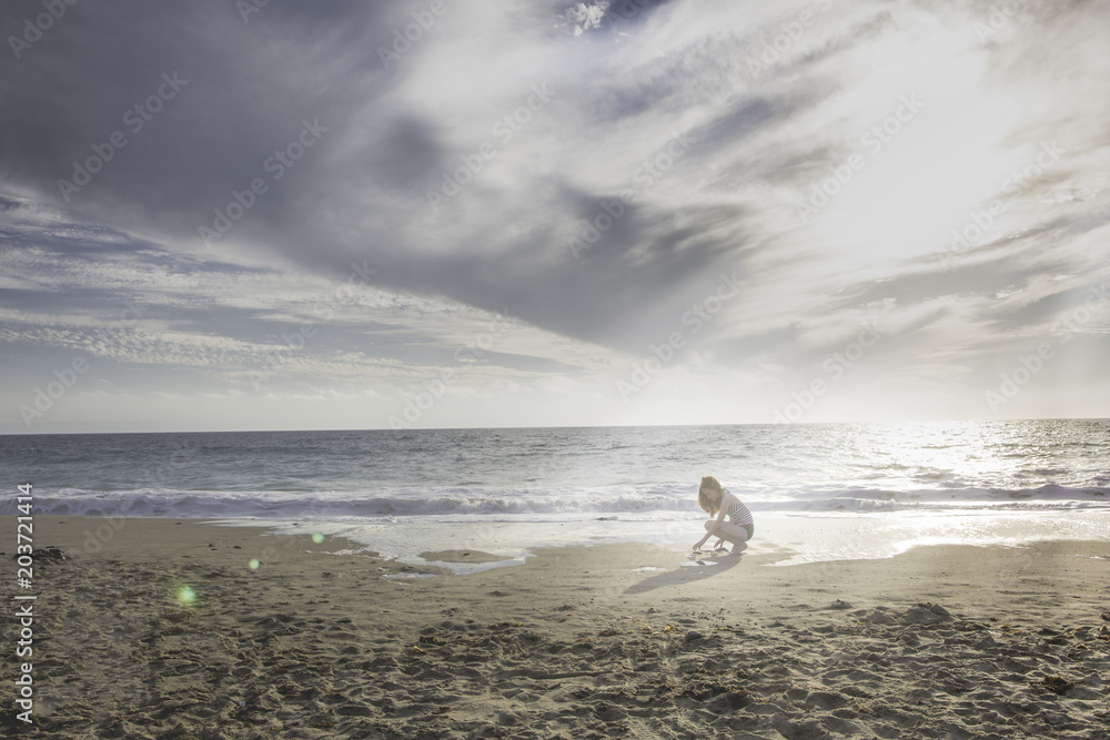 young girl finding sea shells on the beach Stock Photo | Adobe Stock