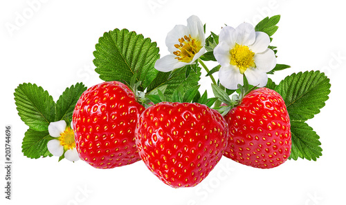 Dekoracja na wymiar  truskawka-i-truskawka-kwiat-na-bialym-tle