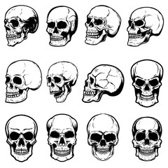 Poster - Set of human skull illustrations on white background. Design element for label, emblem, sign,logo, poster.