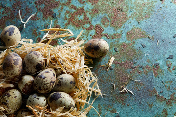 Conceptual still-life with quail eggs in hay nest over blue textured background, close up, selective focus