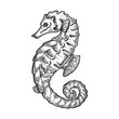 © Oleksandr Pokusai - Sea horse animal engraving vector illustration