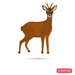 Wall Mural - Roe deer color flat icon for web and mobile design